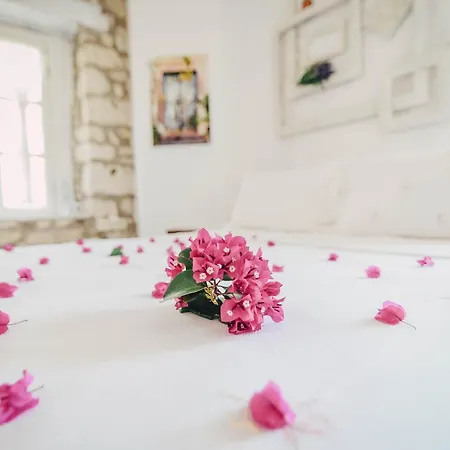 Yukari Sokak Vip Butik Alaçatı